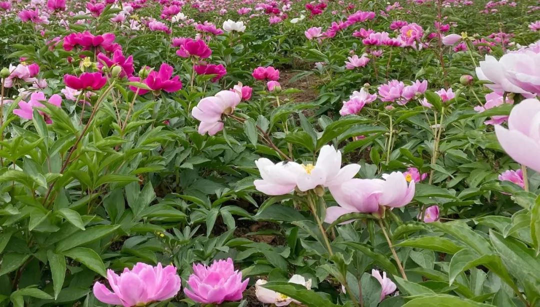 微信圖片_20221024114323.jpg 微信圖片_20221024114323.jpg